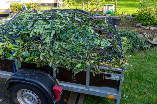 Best Yard Waste Removal  in West Newton, PA